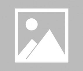 开云体育下载-步行者一波带走黄蜂，武切维奇扛起全队