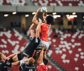 开云体育app-2026世界杯之夜，塔图姆的统治级数据，如何点燃美国篮球的暗夜火炬？