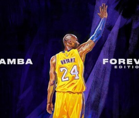 开云平台-杰伦格林统治全场，深圳队生死战力克活塞