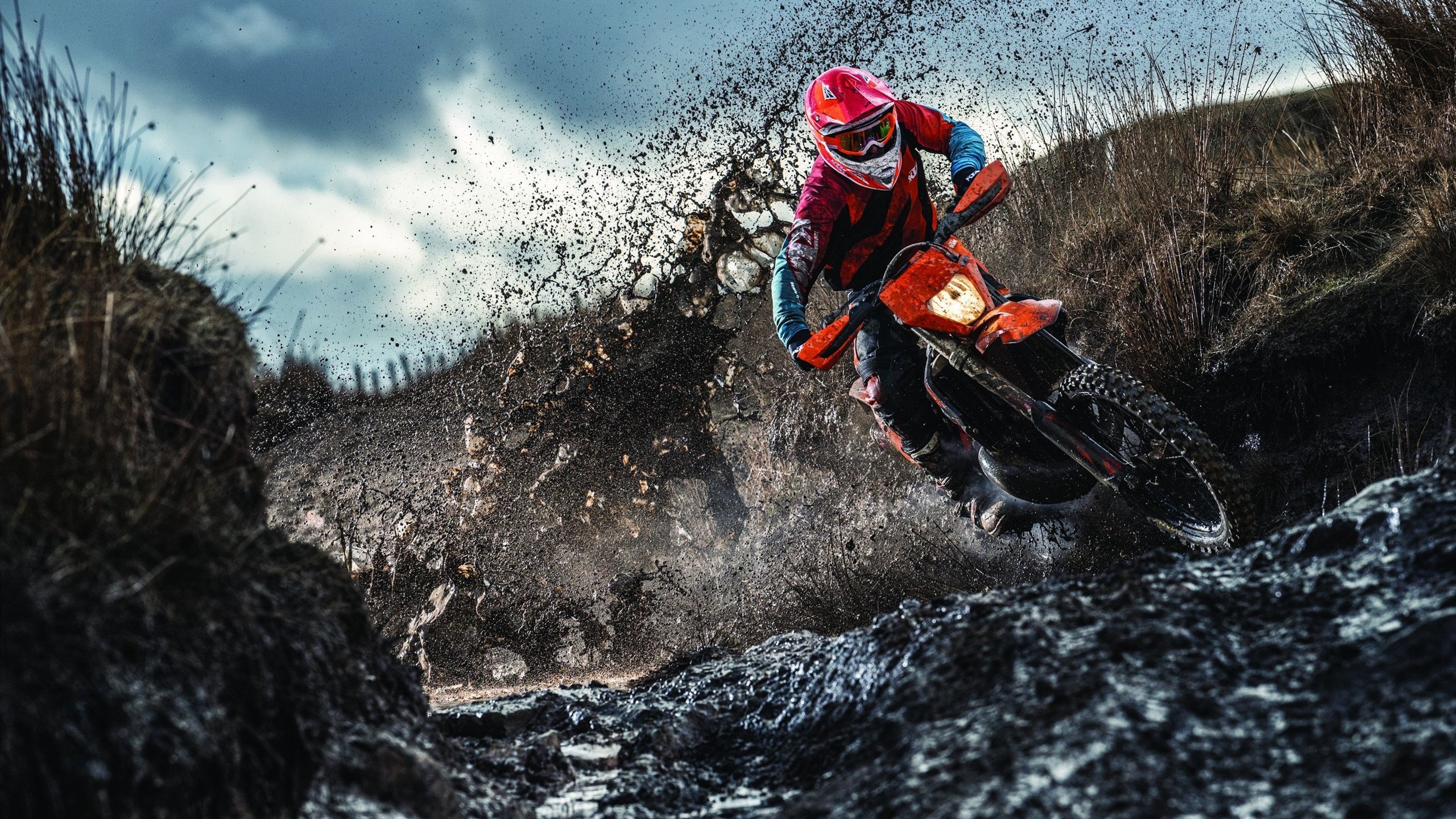 当东欧巨塔在芝加哥苏醒，武切维奇如何用一场比赛定义季后赛的统治