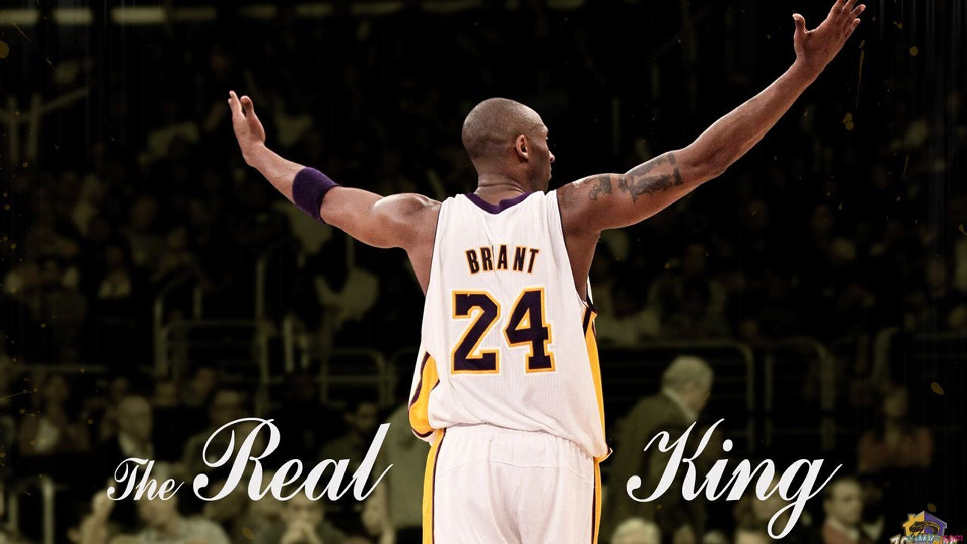 当斗牛士的剑刺穿非洲雄鹰,克罗地亚的棋盘上只剩一位国王